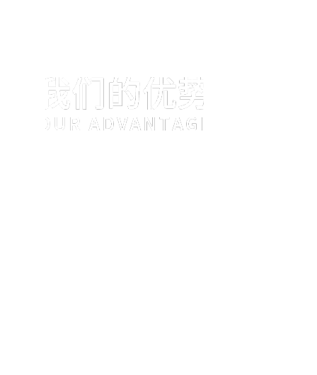 我们的优势